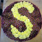 Profile Picture of samin (@s.assadian001) on Instagram