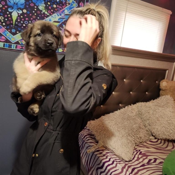 Profile Picture of Jess Casey (@jesscasey232) on Poshmark