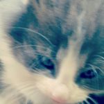 Profile Picture of Kate McClain (@katemcclain18) on Instagram