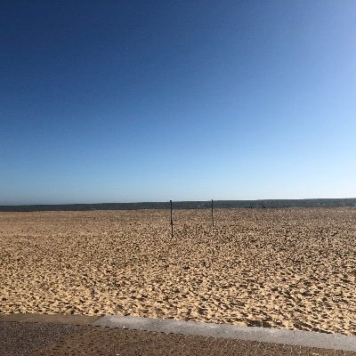 Profile Picture of Michael (@hotm_forest) on Twitter