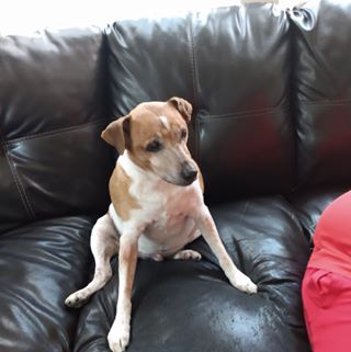 Profile Picture of Wendy Lemley (@wendy.lemley.77) on Facebook