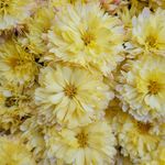 Profile Picture of David Ewing (@david_ewing2017) on Instagram