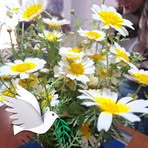 Profile Picture of Downs Matthew (@Downs-Matthew) on Facebook