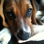 Profile Picture of Wright Agnes (@vamwellglory) on Instagram