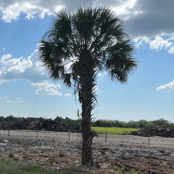 Profile Picture of Brandon Greiner (@bgreiner23) on Poshmark