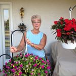 Profile Picture of Nancy Frantz (@nancy.frantz) on Instagram