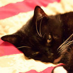 Profile Picture of Andrew Bell (@Andy M M Bell) on Flickr