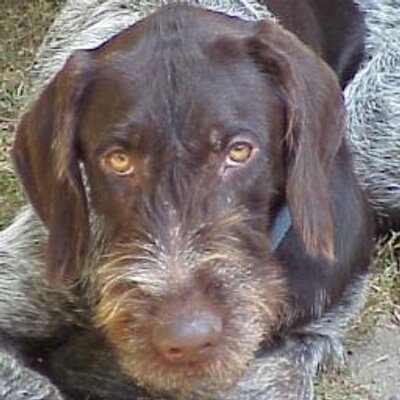 Profile Picture of Hank P Jones (@HankPJones) on Twitter