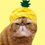 Profile Picture of Borlor Cheng (@borlorbao) on Instagram