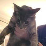 Carson Cross - Instagram Profile Picture of Carson Cross (@carsonccross) on Instagram