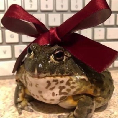 Profile Picture of Reese.Perry (@ReesePerry12) on Twitter