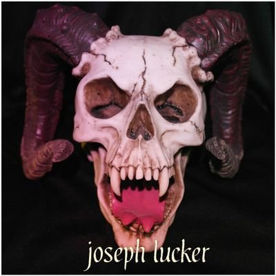 Profile Picture of Joseph Lucker (@josephworsnop) on Twitter