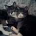Profile Picture of Connie Popp (@connie.popp.58) on Facebook