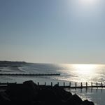 Profile Picture of Anna Dingle (@adingle12) on Instagram