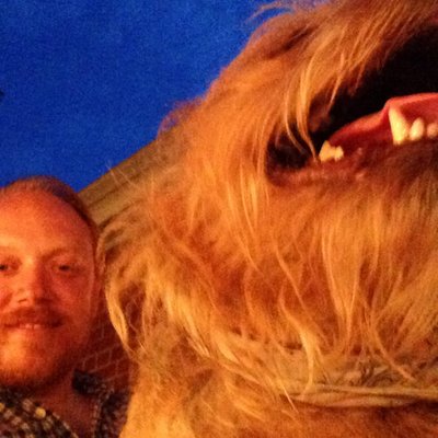 Profile Picture of David Eckert (@jestersrobe) on Twitter