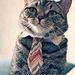 Profile Picture of Kevin Gauvin (@trenzalore54470) on Pinterest