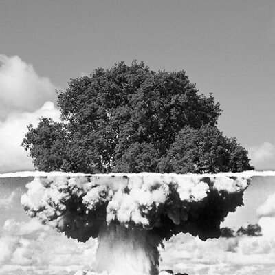 Profile Picture of Gabriel William Liew (@GreyHay) on Twitter