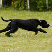 Profile Picture of Marjaana Elovirta (@marjaanaelo) on Youtube