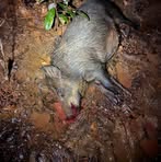 Profile Picture of Logan Mcilwain (@logan.mcilwain.90) on Facebook