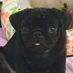 Profile Picture of Danny Reid (@danny_reid208) on Instagram