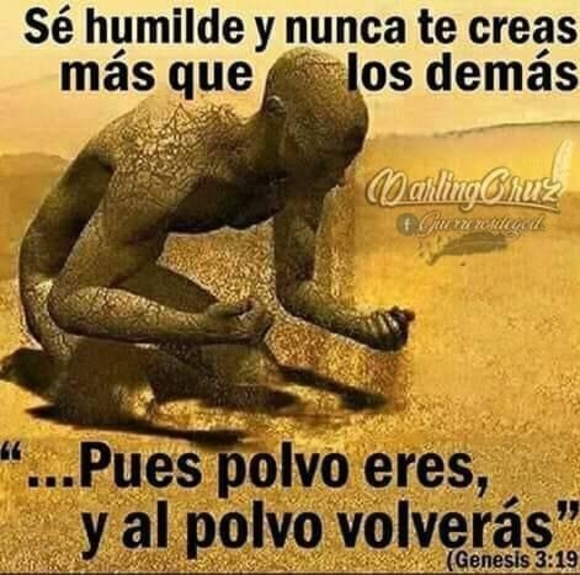 Profile Picture of Chacho Jimenez (@chachojimenez) on Poshmark