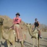 Profile Picture of Simon Tarr (@freddiestarr) on Instagram