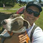 Profile Picture of Steven Sarro (@steviebuilds) on Instagram