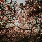 Joshua Humann - Instagram Profile Picture of Joshua Humann (@joshi_humann) on Instagram