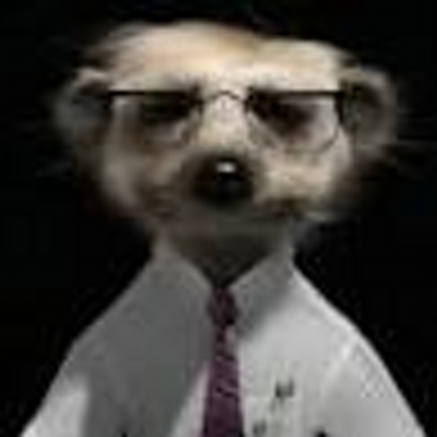 Profile Picture of Ian Ison (@metalferret) on Twitter