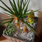 Profile Picture of Peter Grunder (@Peter-Grunder) on Facebook