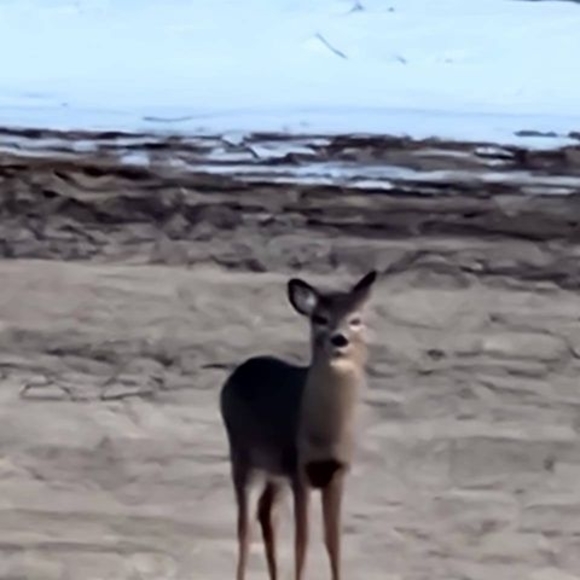 Pj Smith - Poshmark Profile Picture of Pj Smith (@pjsmith922) on Poshmark