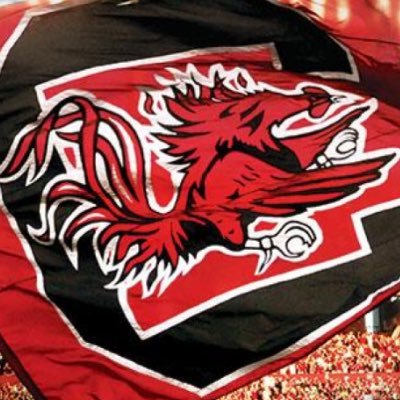 Profile Picture of Kim McMurray (@kpmcmurray4) on Twitter