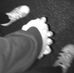 Profile Picture of Lisa Shukri (@lisa.shukri7) on Facebook