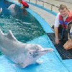 Profile Picture of Aaron Loveday (@azaloveday) on Instagram