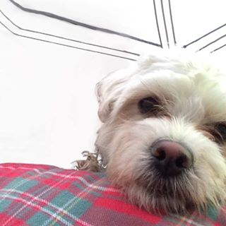 Profile Picture of Bailey Witte (@bailey.witte.1) on Facebook