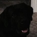 Profile Picture of Alex Craig (@alex_craig105) on Instagram