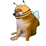 Profile Picture of Lucipher Elaine (@lucy_crow1999) on Instagram