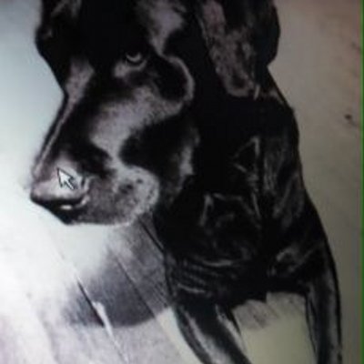 Profile Picture of David Mitchell Warne (@unstablexviperd) on Twitter