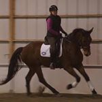 Profile Picture of Jodi Shields Lemkemann (@jodilemkemann) on Instagram