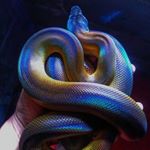 Profile Picture of Ethan (@ethan.gta5.hacker) on Instagram