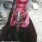 Profile Picture of Howard Scott (@Howard-Scott) on Facebook