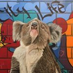 Profile Picture of Stephen Thompson (@stevethompsonwildlifeart) on Instagram