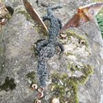 Profile Picture of Mark Lowry III (@makermook3) on Instagram