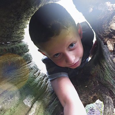 Profile Picture of Sharon Cadwallader (@SharonCadwallad) on Twitter