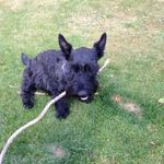 Profile Picture of Jill Jeffrey (@jill.jeffrey40) on Instagram