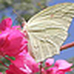 Profile Picture of kevin and kelly's page (@kevin and kelly's page) on Flickr