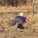 Profile Picture of Jonathan Mohl (@mammillariamaniac) on Instagram