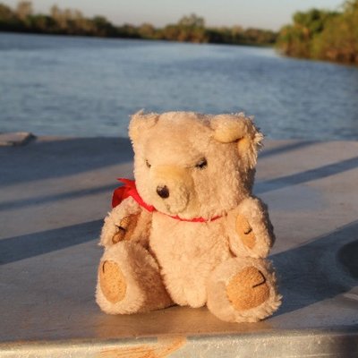 Profile Picture of Samantha Key (@BertieTheBear1) on Twitter