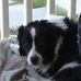 Profile Picture of Scott Tompkins (@scott.tompkins.18) on Facebook