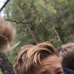 Daniel - Instagram Profile Picture of Daniel (@daniel._vik) on Instagram